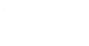 Logo MST