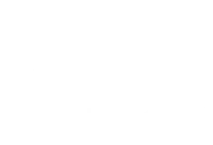 Logo Perfect Services