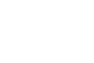 Logo swb
